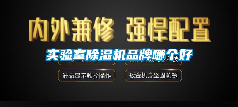实验室91抖音免费看片品牌哪个好