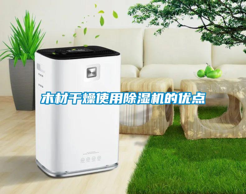 木材干燥使用91抖音免费看片的优点