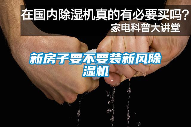 新房子要不要装新风91抖音免费看片