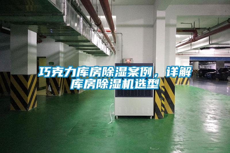 巧克力库房除湿案例，详解库房91抖音免费看片选型