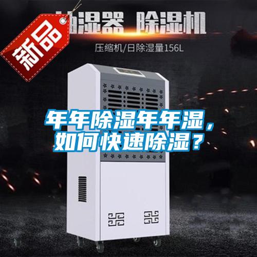 年年除湿年年湿，如何快速除湿？