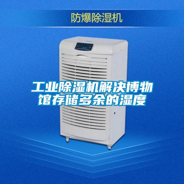 工业91抖音免费看片解决博物馆存储多余的湿度