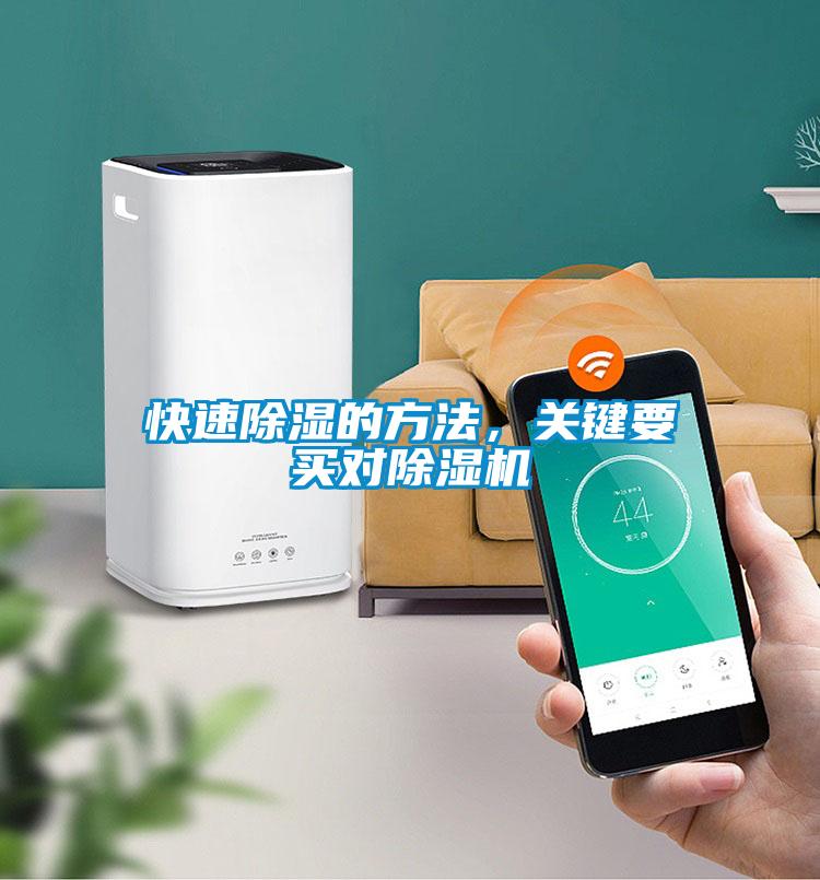 快速除湿的方法，关键要买对91抖音免费看片