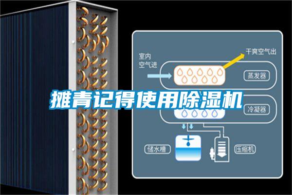 摊青记得使用91抖音免费看片