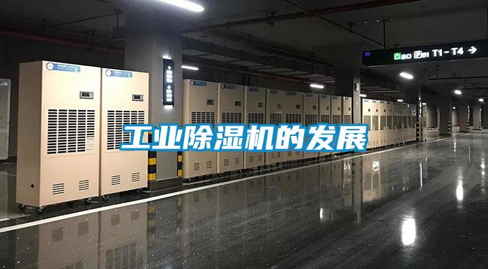 工业91抖音免费看片的发展
