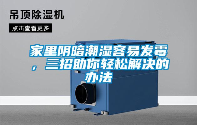 家里阴暗潮湿容易发霉，三招助你轻松解决的办法