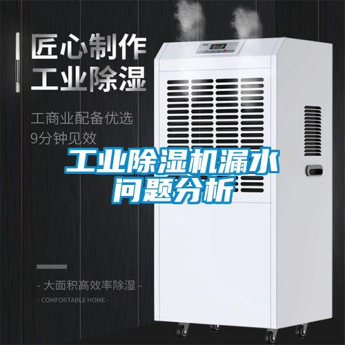 工业91抖音免费看片漏水问题分析