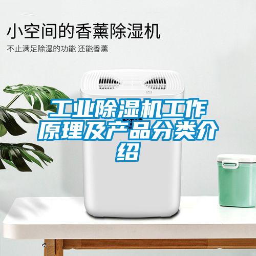 工业91抖音免费看片工作原理及产品分类介绍