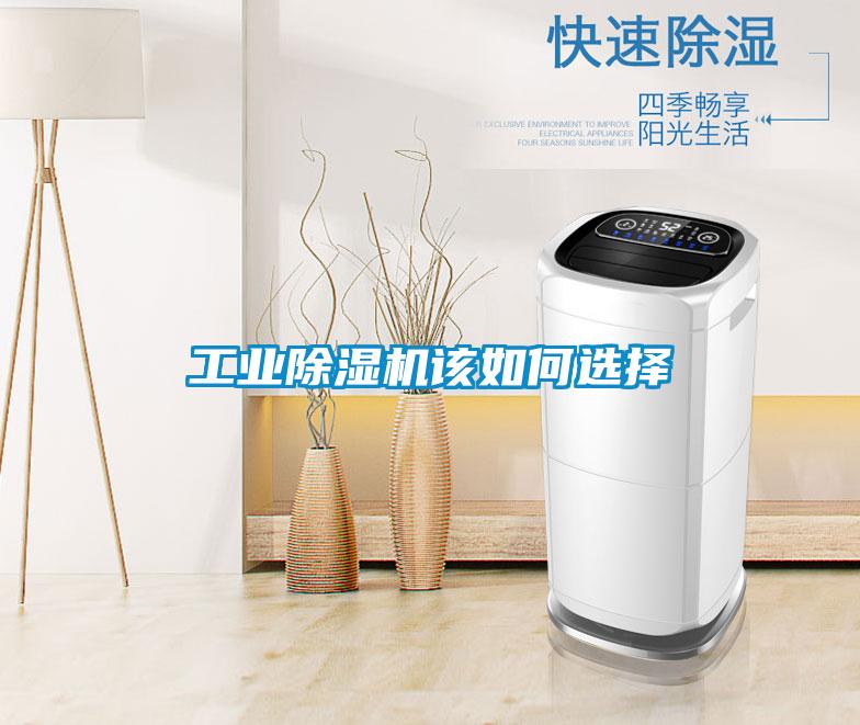 工业91抖音免费看片该如何选择