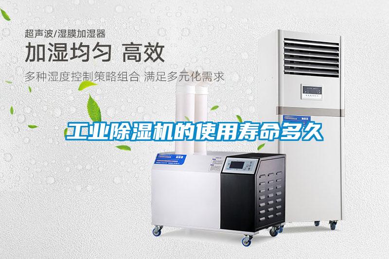 工业91抖音免费看片的使用寿命多久