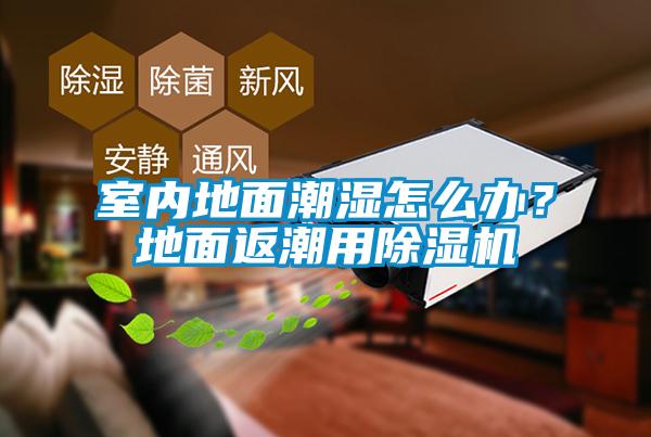 室内地面潮湿怎么办？地面返潮用91抖音免费看片