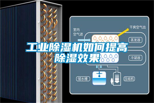 工业91抖音免费看片如何提高除湿效果