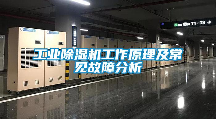 工业91抖音免费看片工作原理及常见故障分析