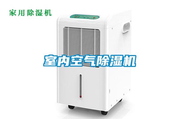 室内空气91抖音免费看片