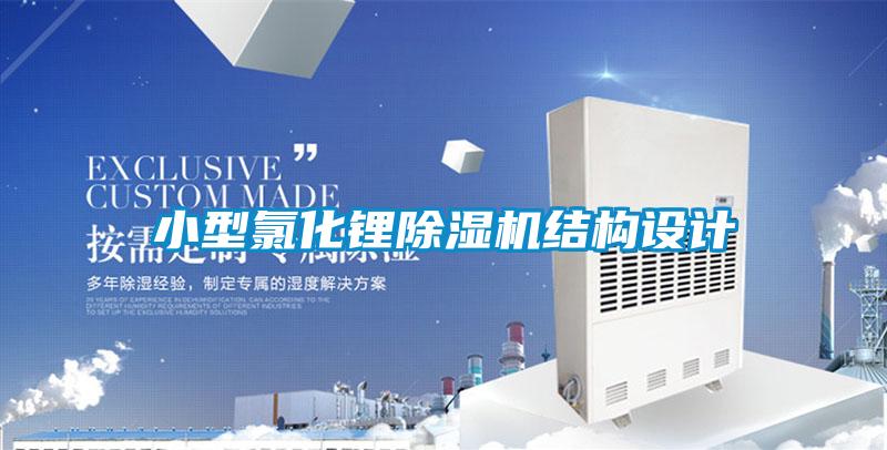 小型氯化锂91抖音免费看片结构设计