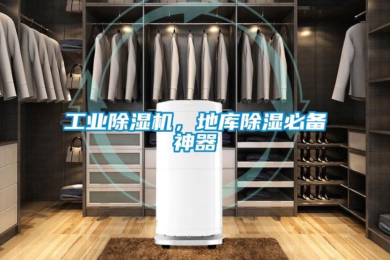 工业91抖音免费看片，地库除湿必备神器