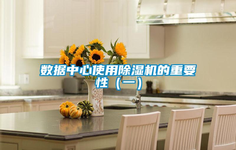 数据中心使用91抖音免费看片的重要性（一）