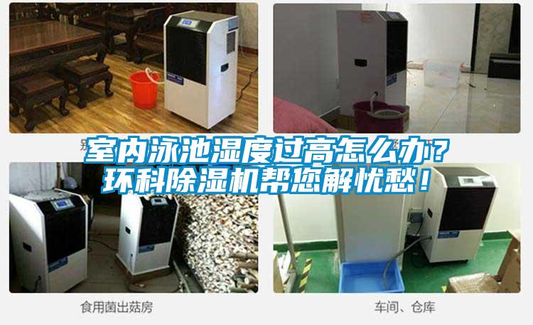 室内泳池湿度过高怎么办？环科91抖音免费看片帮您解忧愁！