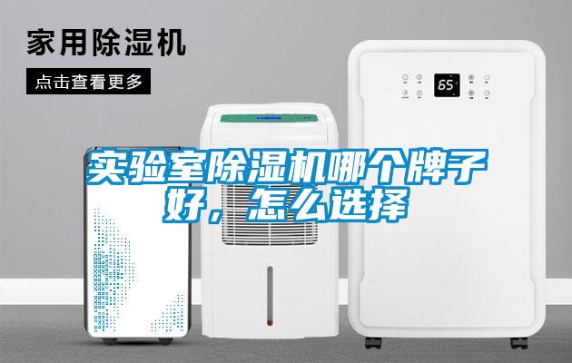 实验室91抖音免费看片哪个牌子好，怎么选择