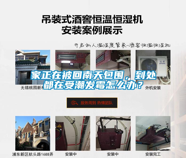 家正在被回南天包围，到处都在受潮发霉怎么办？
