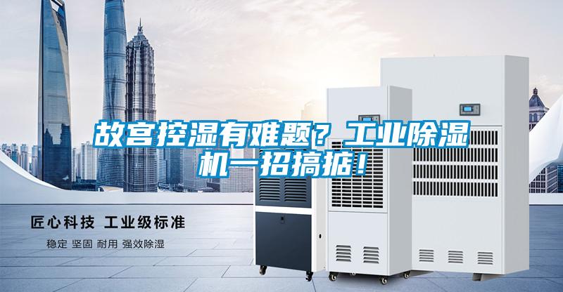 故宫控湿有难题？工业91抖音免费看片一招搞掂！