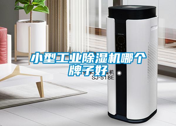 小型工业91抖音免费看片哪个牌子好