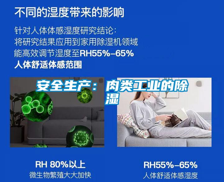 安全生产：肉类工业的除湿
