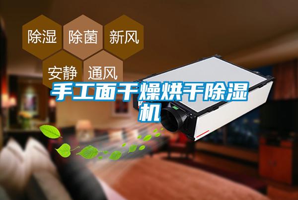 手工面干燥烘干91抖音免费看片