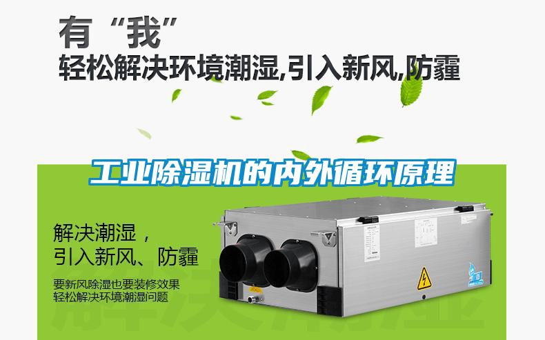工业91抖音免费看片的内外循环原理