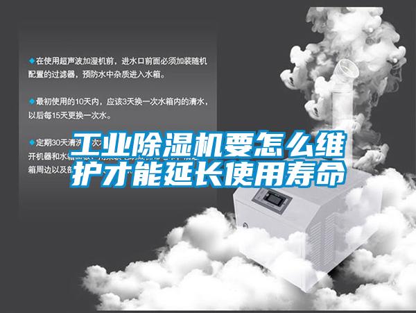 工业91抖音免费看片要怎么维护才能延长使用寿命