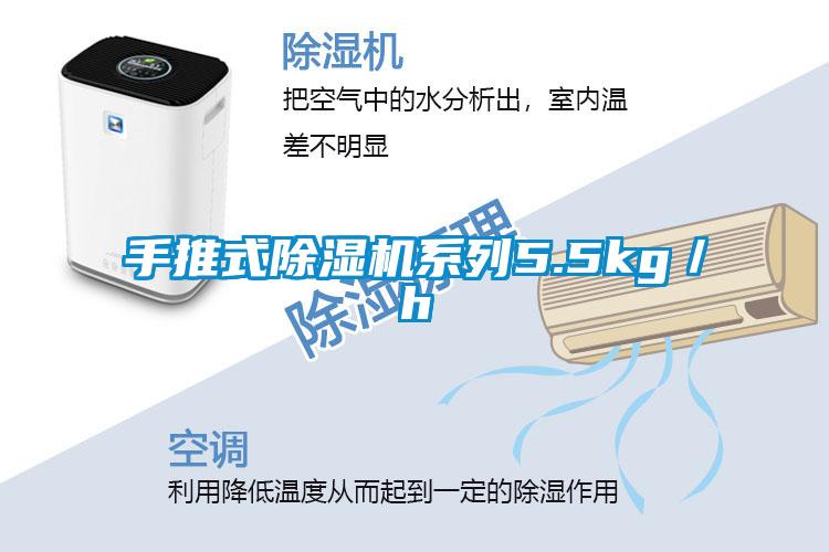 手推式91抖音免费看片系列5.5kg／h