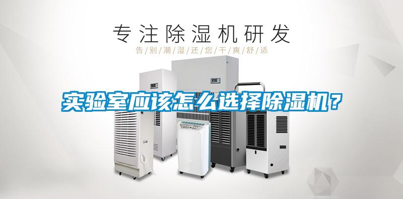 实验室应该怎么选择91抖音免费看片？