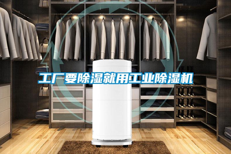 工厂要除湿就用工业91抖音免费看片
