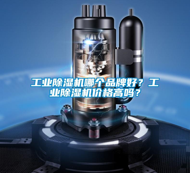 工业91抖音免费看片哪个品牌好？工业91抖音免费看片价格高吗？