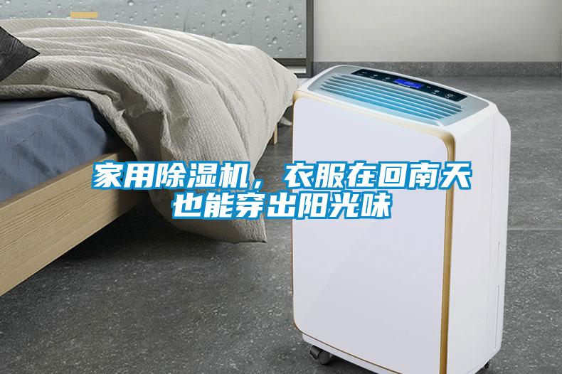 家用91抖音免费看片，衣服在回南天也能穿出阳光味