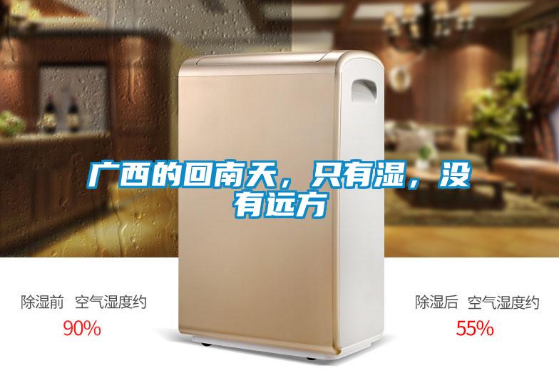 广西的回南天，只有湿，没有远方