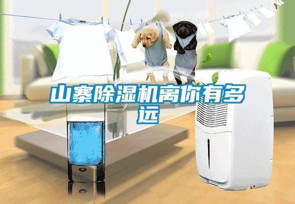 山寨91抖音免费看片离你有多远