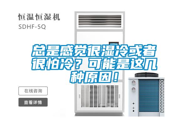 总是感觉很湿冷或者很怕冷？可能是这几种原因！