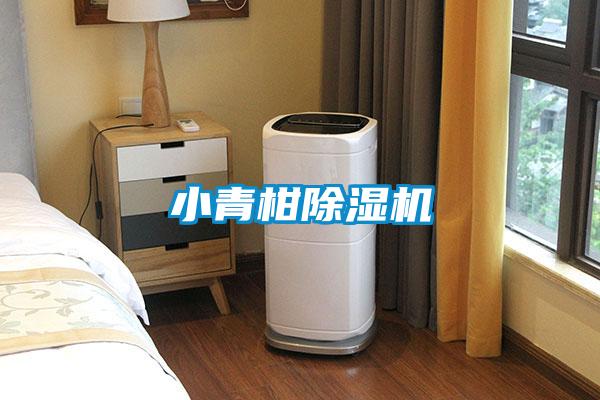 小青柑91抖音免费看片