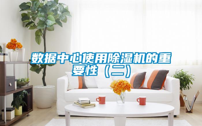 数据中心使用91抖音免费看片的重要性（二）