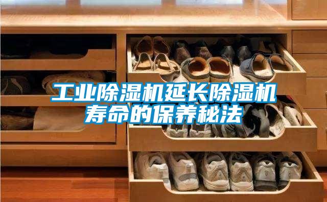工业91抖音免费看片延长91抖音免费看片寿命的保养秘法