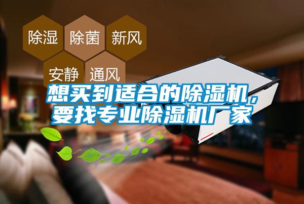 想买到适合的91抖音免费看片，要找专业91抖音免费看片厂家