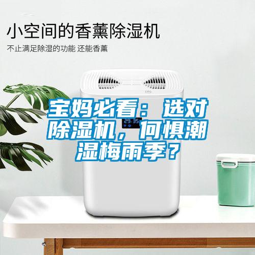 宝妈必看：选对91抖音免费看片，何惧潮湿梅雨季？