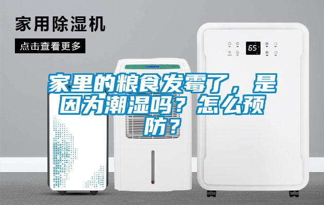 家里的粮食发霉了，是因为潮湿吗？怎么预防？