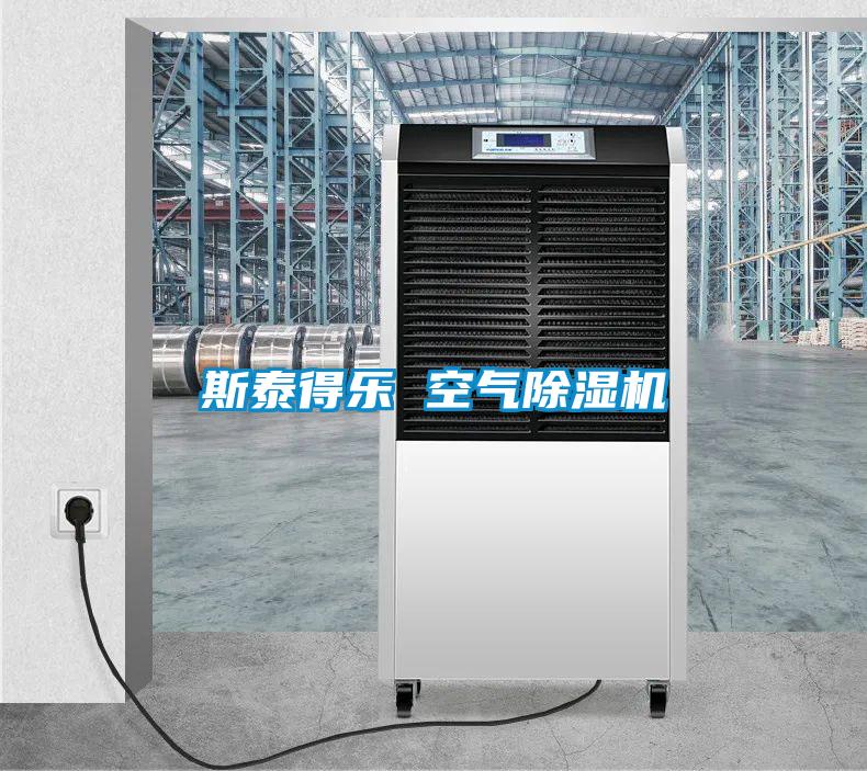 斯泰得乐 空气91抖音免费看片