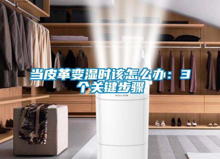 当皮革变湿时该怎么办：3个关键步骤