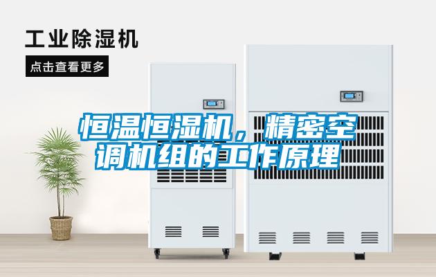 恒温恒湿机，精密空调机组的工作原理