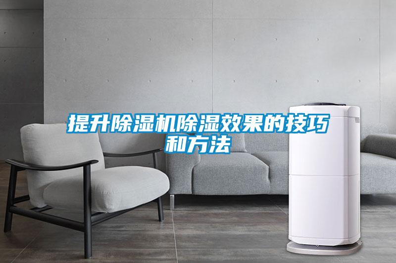 提升91抖音免费看片除湿效果的技巧和方法