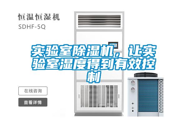 实验室91抖音免费看片，让实验室湿度得到有效控制