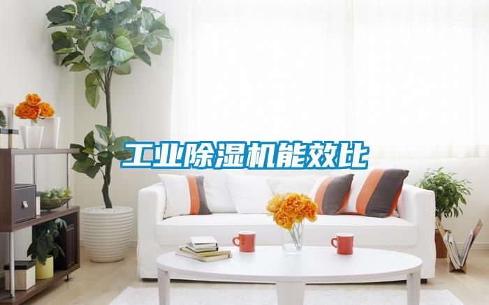 工业91抖音免费看片能效比